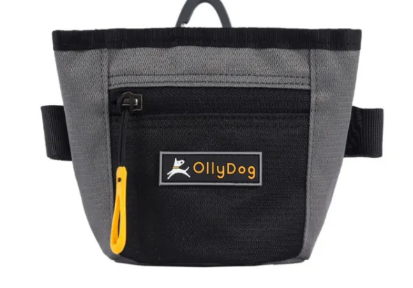 Olly Dog Goodie Treat Bag