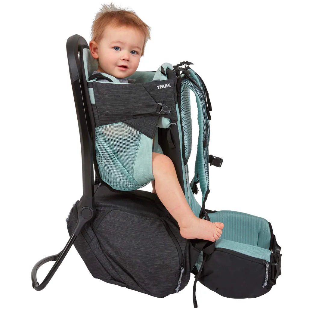 Thule Sapling Child Carrier